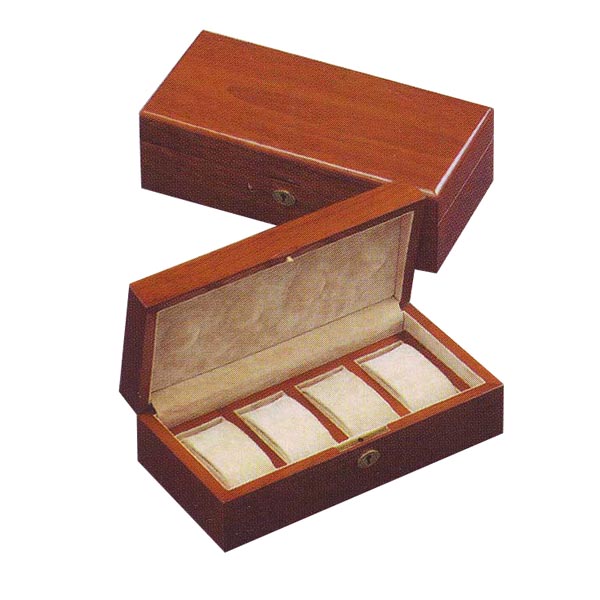 Awatchwinder 4 Watch case picture